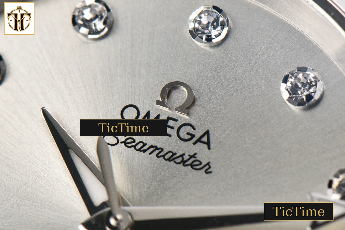 Aqua Terra 150M Ladies 34mm VSF Silver Dial Diamond Marker SS Bracelet A8800 — foto 3