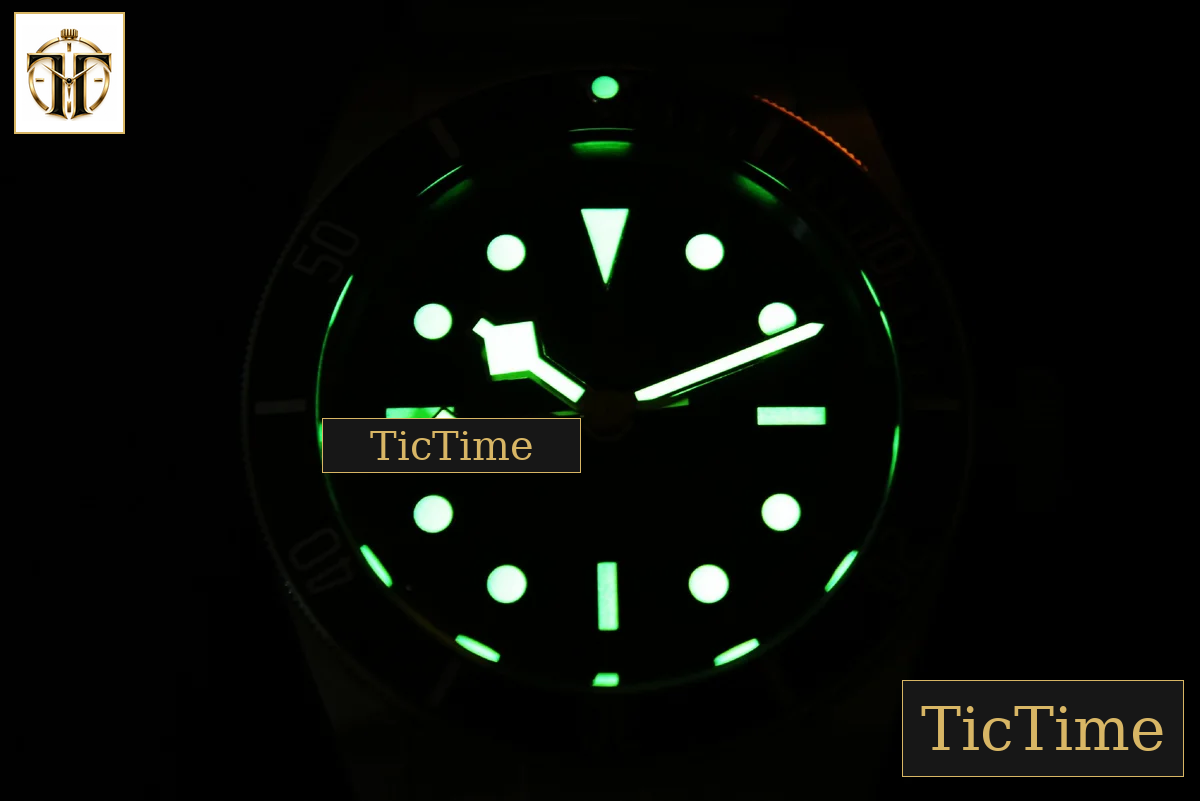 Heritage Black Bay S&G 2018 41mm ZF YG Dial SS/YG Bracelet A2824 — foto 26