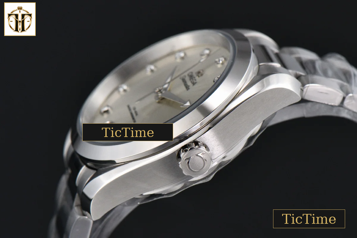 Aqua Terra 150M Ladies 34mm VSF Silver Dial Diamond Marker SS Bracelet A8800 — foto 7
