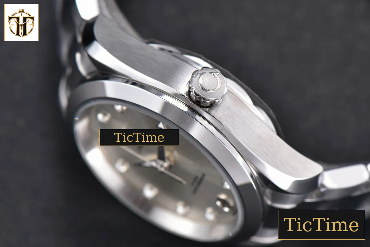 Aqua Terra 150M Ladies 34mm VSF Silver Dial Diamond Marker SS Bracelet A8800 — foto 13