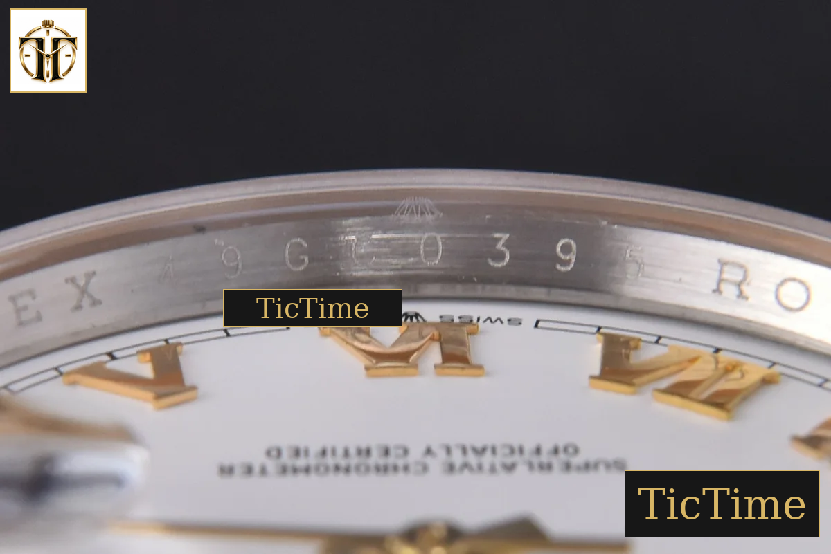 DateJust 904L 36mm GMF YG/SS Fluted Bezel White Dial Roma Marker Jubilee Bracelet VR3235 — foto 12