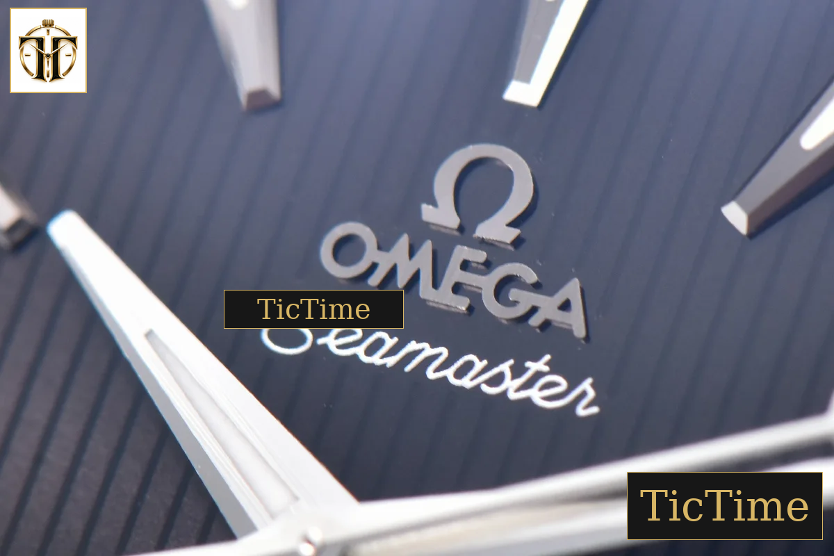 Aqua Terra 150M 41mm VSF Black Textured Dial SS Bracelet A8500 — foto 6