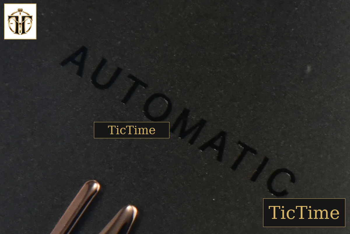 Portofino Automatic 40mm ZF RG Gray Dial RG Marker Brown Croc Strap A9019 — foto 6