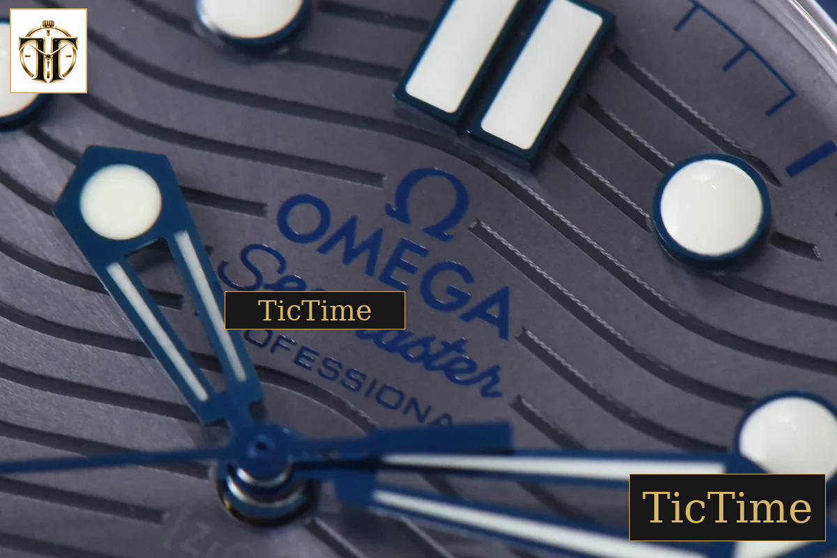 Seamaster Diver 42mm VSF SS 300M Gray Dial Rubber Strap VS8800 — foto 7