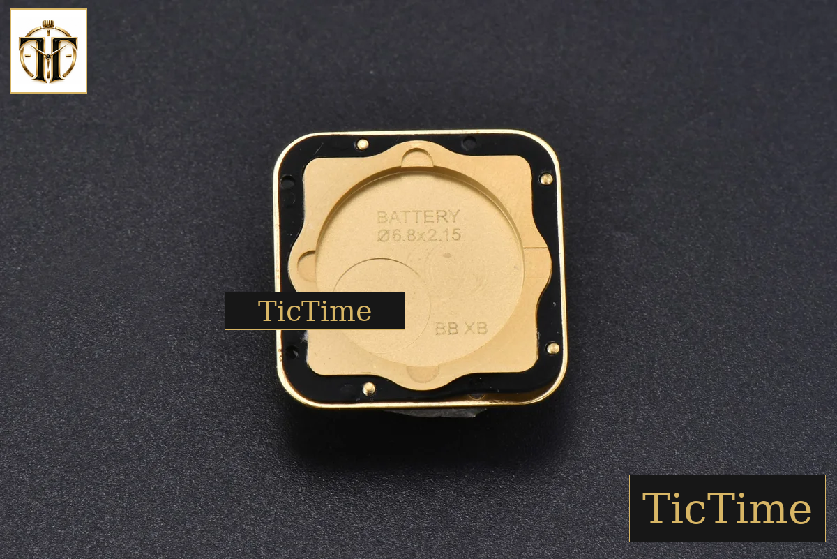 Panthère Secrete Ladies 27mm BVF YG White Dial YG Bracelet Ronda Quartz — foto 17
