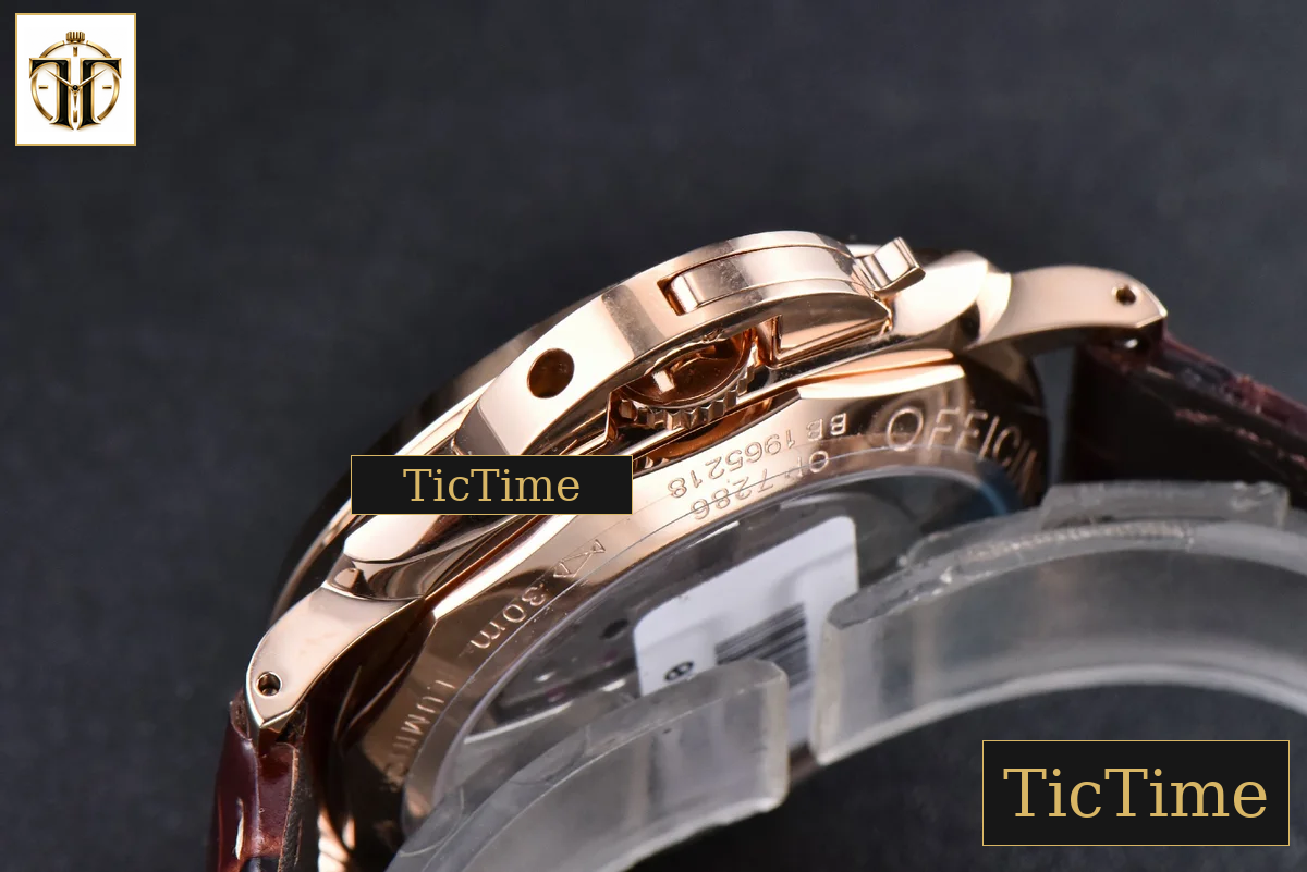 Luminor Due PAM1042 42mm VSF RG White Dial Brown Leather Strap P900 — foto 10